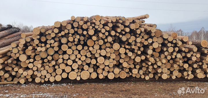 Лес кругляк