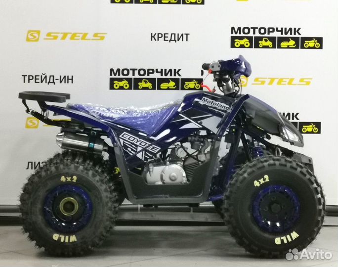 Квадроцикл MotoLand ATV 125 coyote
