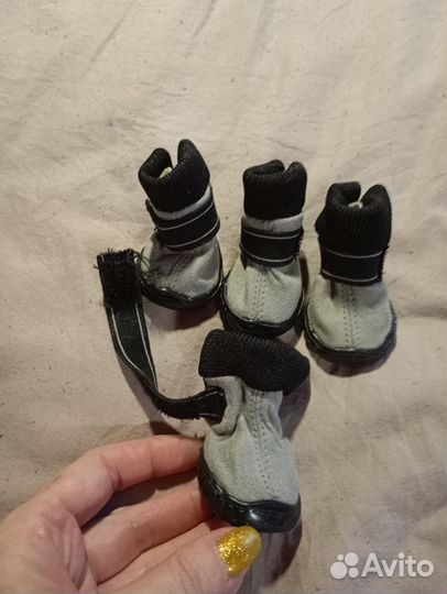 Ботинки для маленьких собак