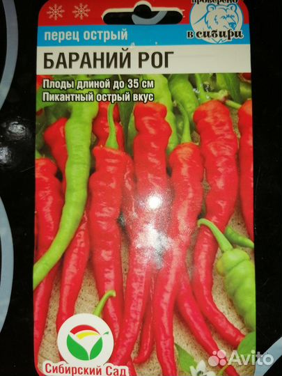 Рассада помидор, перцев, баклажан