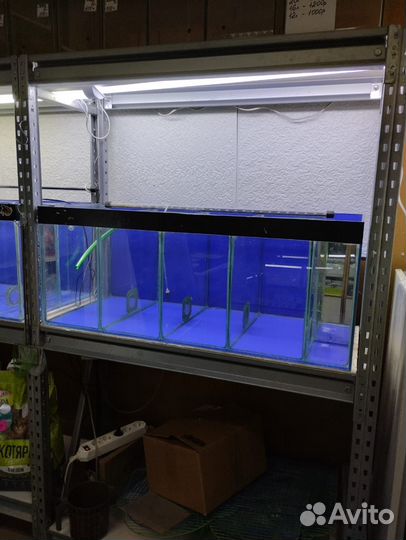Аквариум