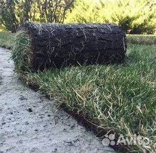 Газон рулонный гарантия