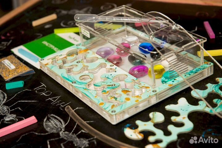 Муравьиная ферма