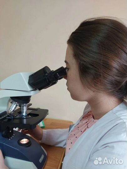 Репетитор по биологии (огэ и егэ)