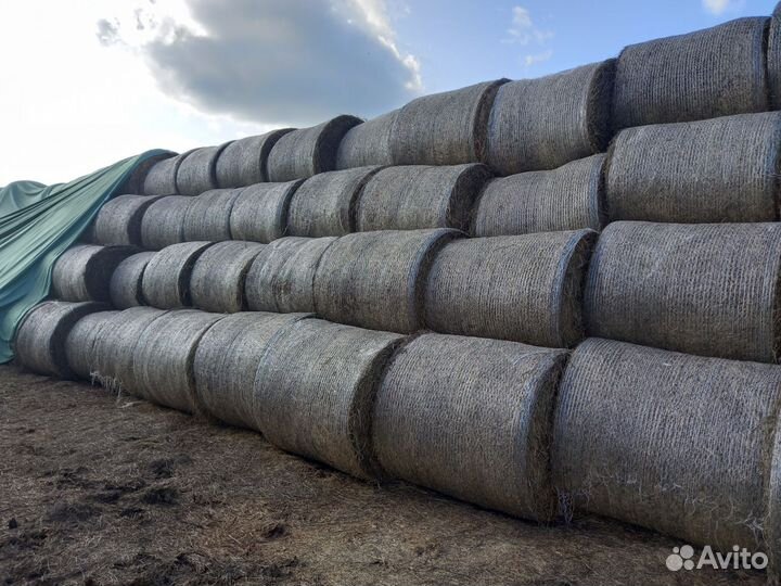 Травяные гранулы из люцерны