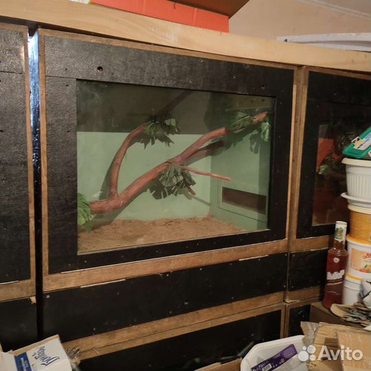 Террариумы