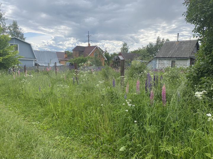 Участок 6 сот. (СНТ, ДНП)