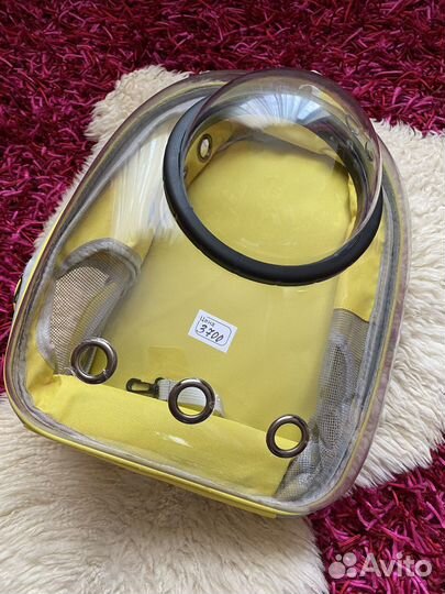 Рюкзак, переноска для кота