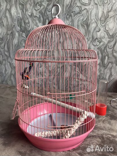 Клетка для попугая