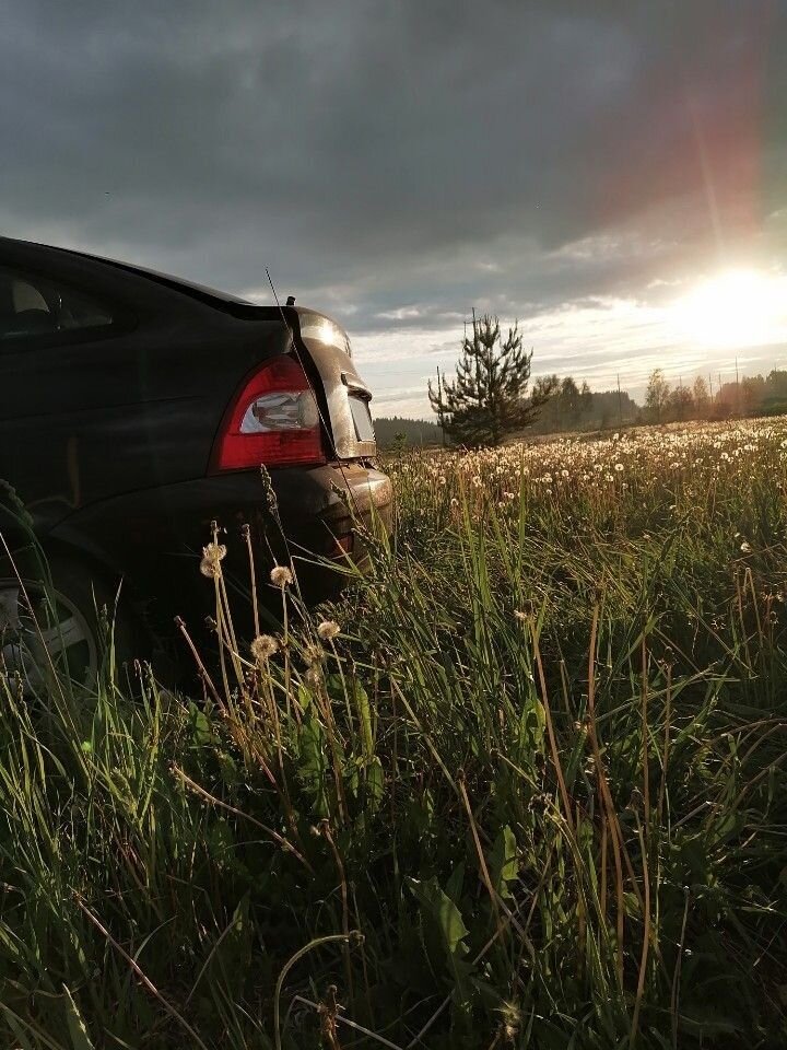 ВАЗ (LADA) Priora: фото владельца