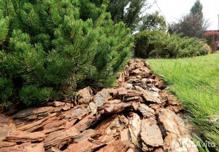 Мульча кора лиственницы в Наличии