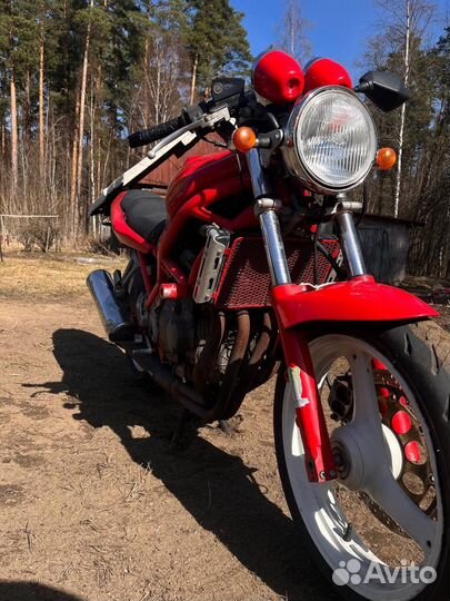 Suzuki bandit 250