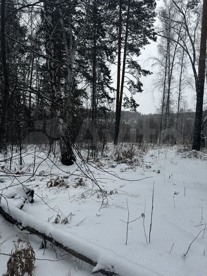 Участок 12,9 сот. (СНТ, ДНП)