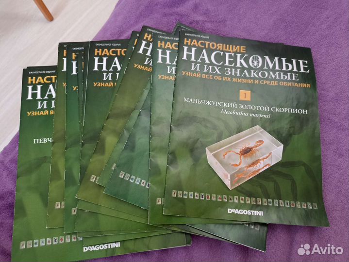 Насекомые и их знакомые