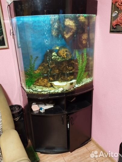 Акриловый Аквариум с тумбой