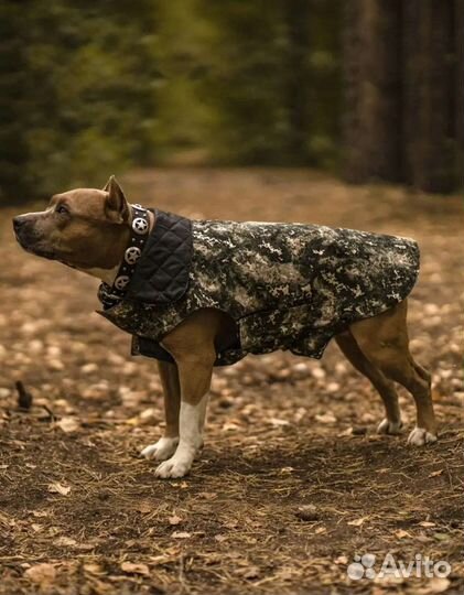 Попона для собак новая 35 50 60 размер