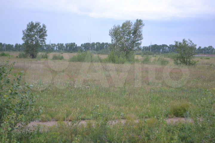 Участок 5,6 га (СНТ, ДНП)