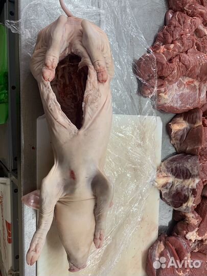 Молочные поросята