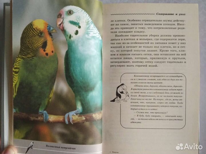 Домашние попугаи и певчие птицы