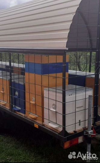 Прицеп пчеловоз, 2021