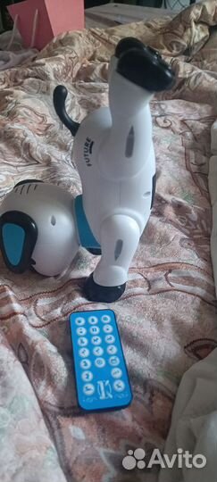 Робот «Пультовод собачка»