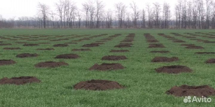 Услуги ямобура