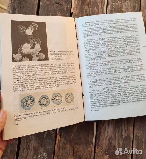 Учебник по гистологии