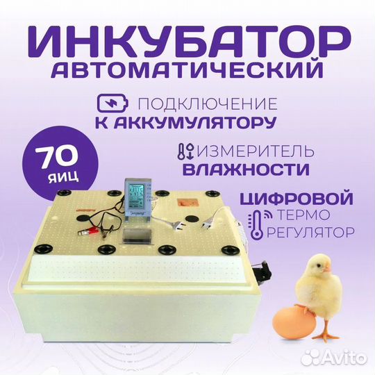 Инкубатор золушка 2020