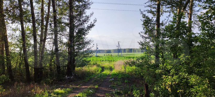 Участок 15 сот. (ИЖС)