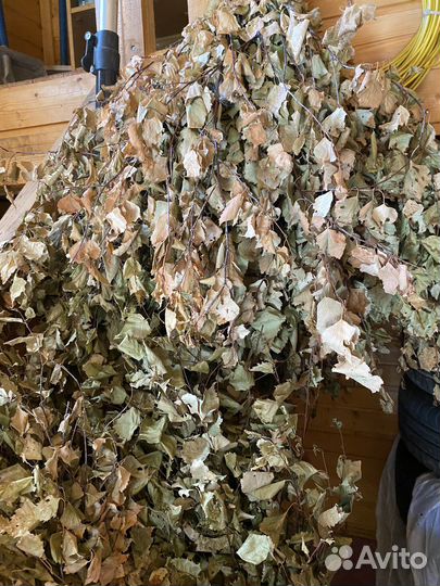 Веники березовые для бани