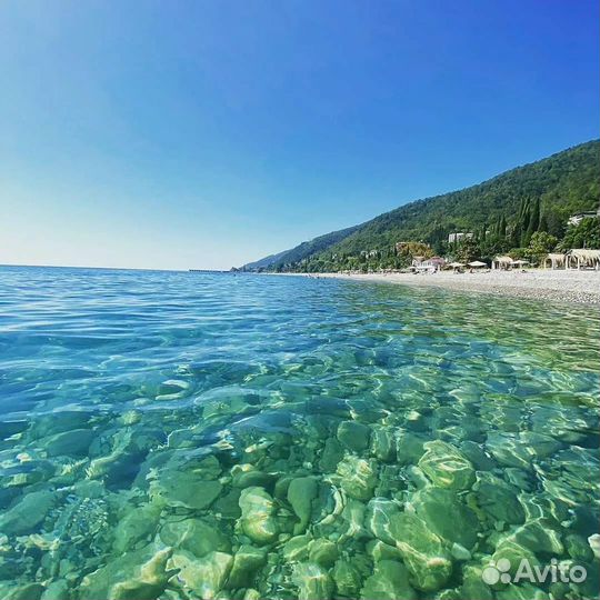 Автобусный тур в Абхазию