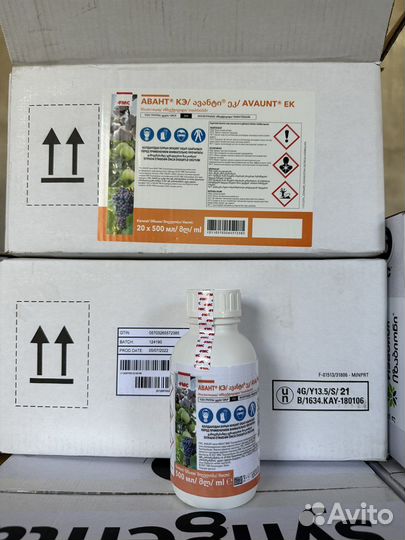 Авант, Спинтор