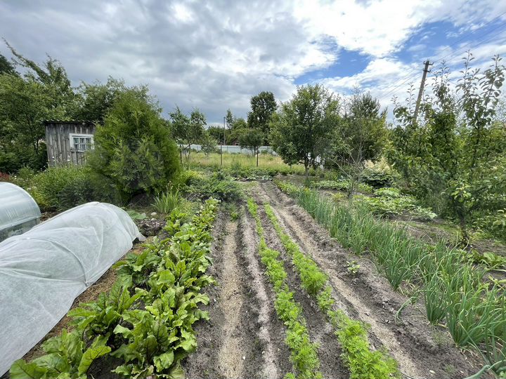 Участок 6 сот. (СНТ, ДНП)