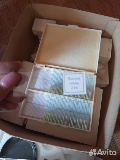 Набор стёкол для микроскопа