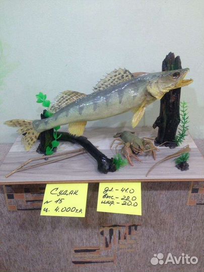 Подарки, сувениры, чучело судак