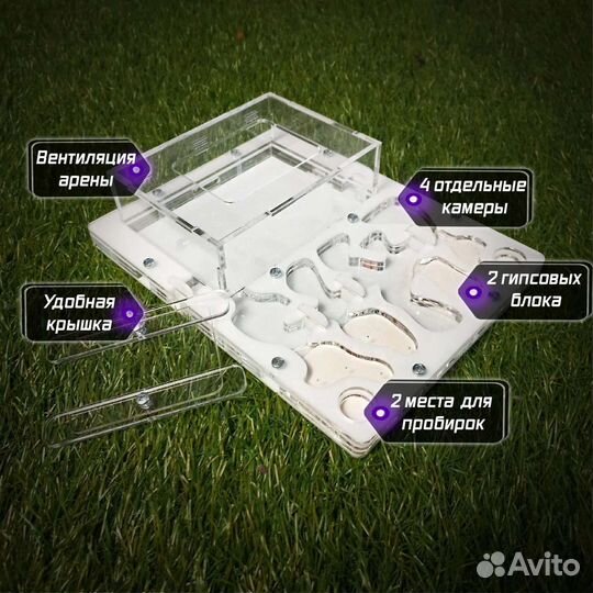 Формикарий/муравьиная ферма с муравьями