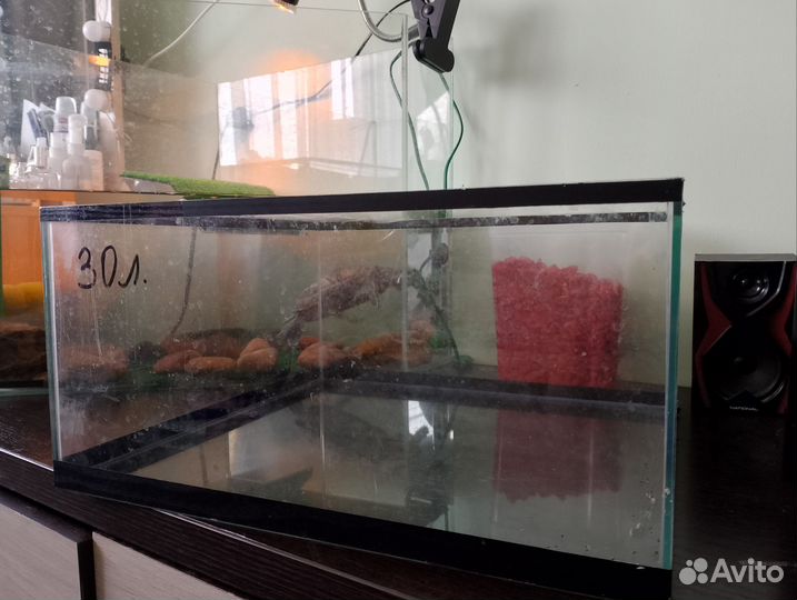 Аквариум
