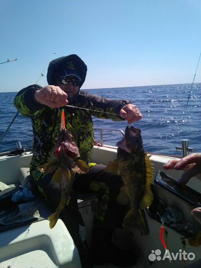 Морские прогулки,рыбалка