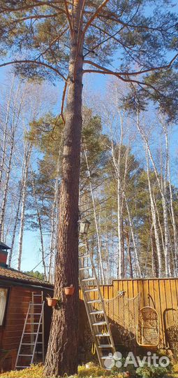 Тв антенны, интернет, электрика, видеонаблюдение