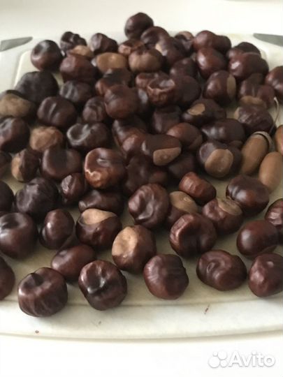 Каштаны для поделок