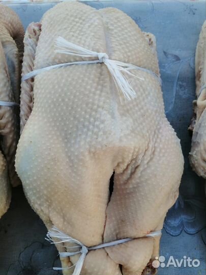 Гусиное мясо