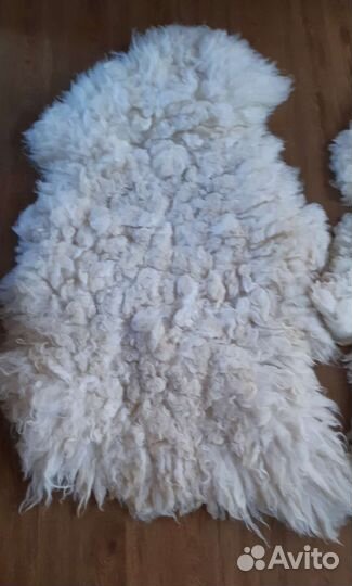 Продажа овчина шкура
