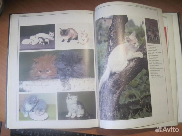 Эксклюзивная книга 