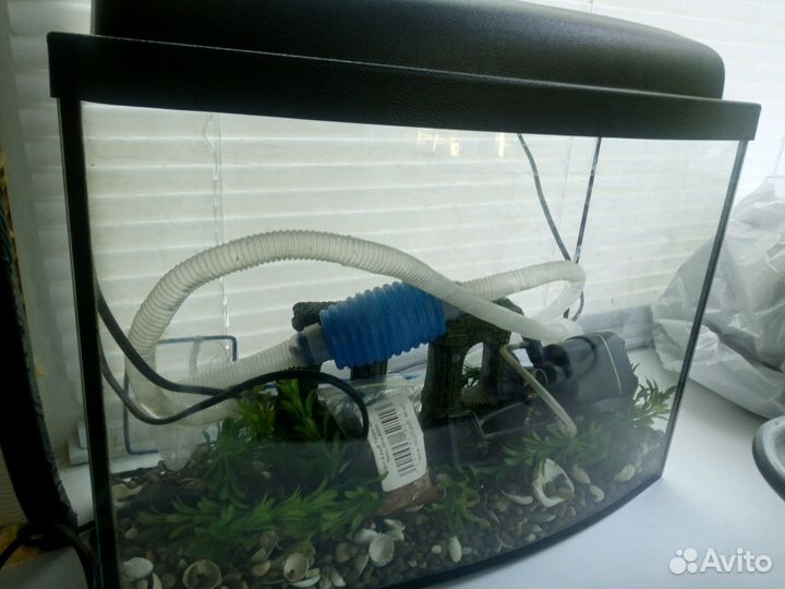 Аквариум