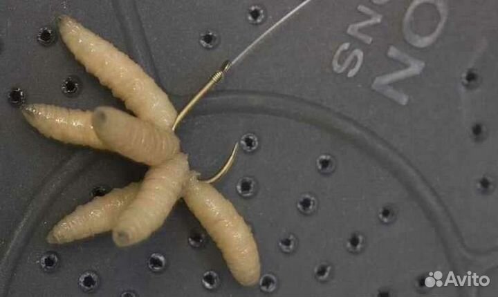 Опарыш от производителя