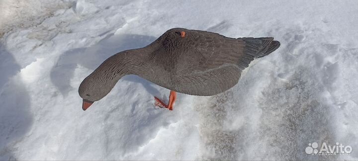 Чучела гусей для охоты