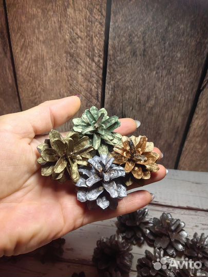 Шишки сосновые