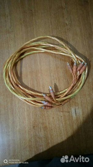 Тюльпаны для усилителя