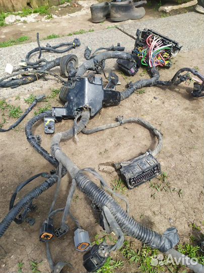 Проводка двигателя подкапотная Hyundai Solaris