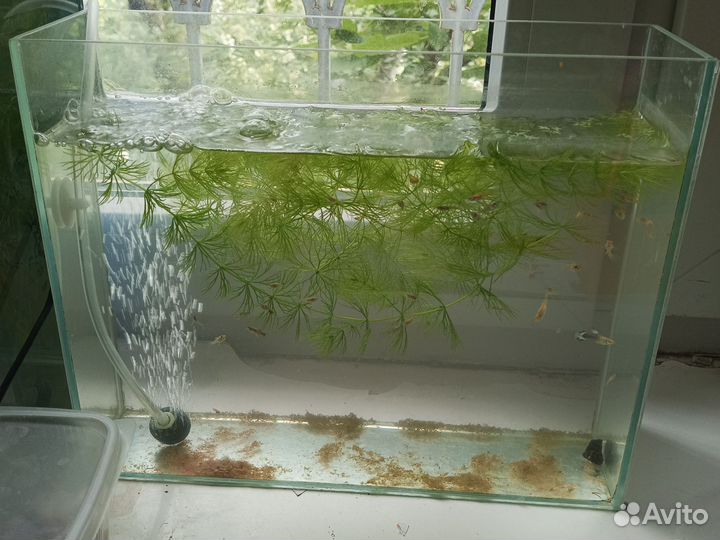 Аквариум с рыбками